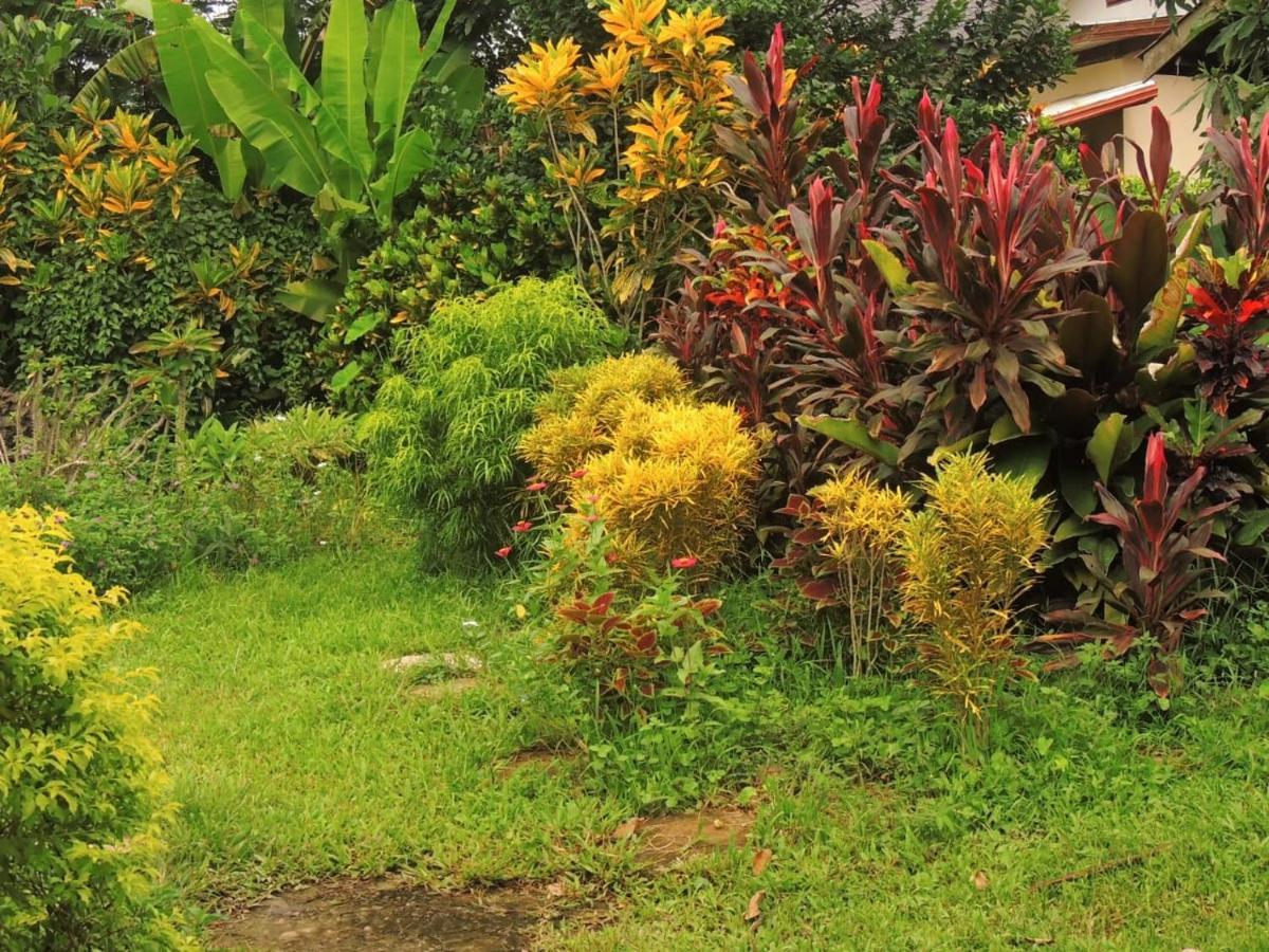 Maylyn Guesthouse Vang Vieng Exterior photo